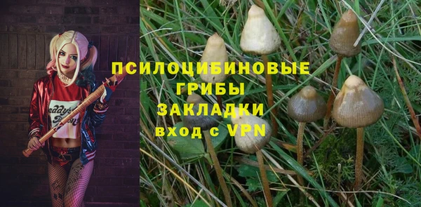 прущие крисы Армянск