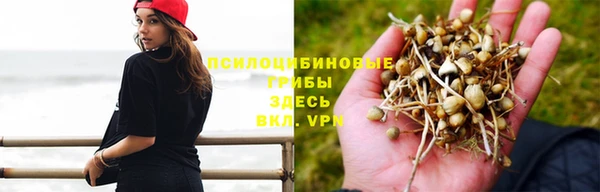 прущие крисы Армянск