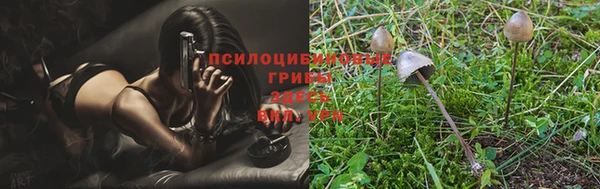 mix Аркадак