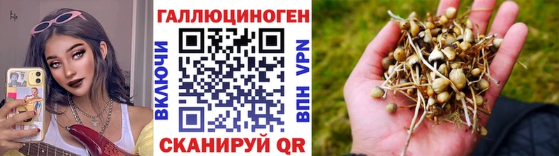 сайты даркнета какой сайт  Кубинка  Псилоцибиновые грибы Magic Shrooms 