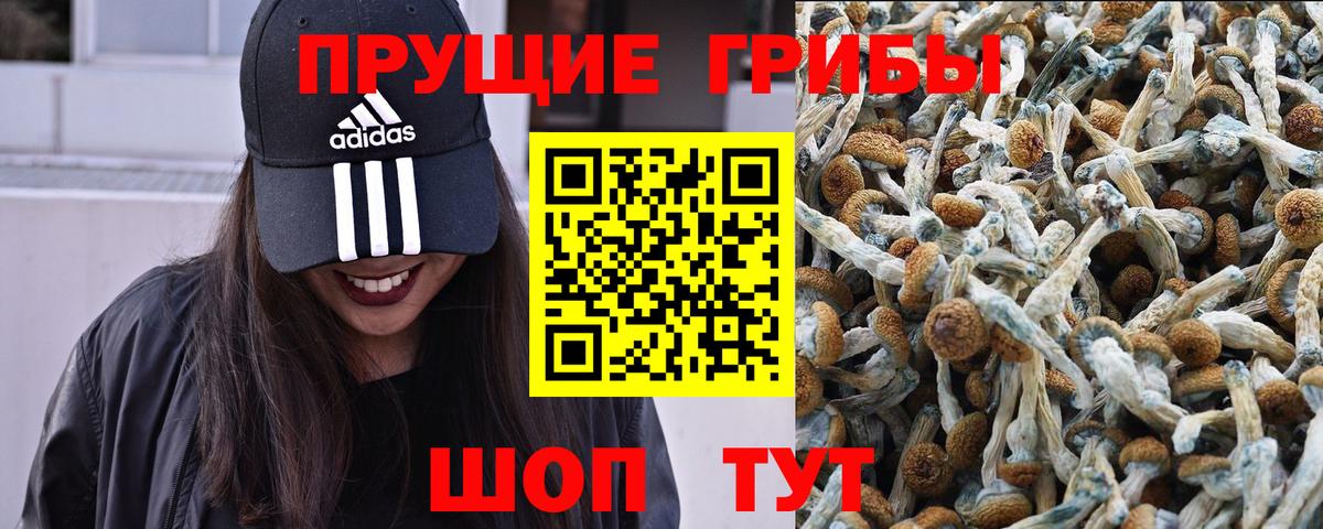 Псилоцибиновые грибы ЛСД Кубинка